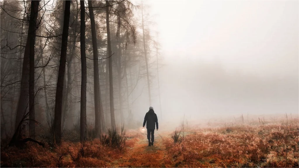 man walking in the forest