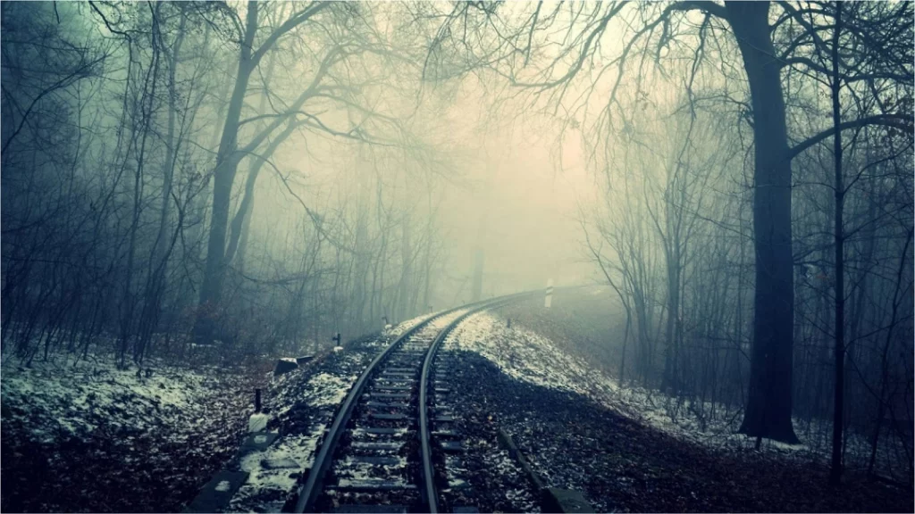 railway track surrounded by trees