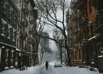 Central Park in new york