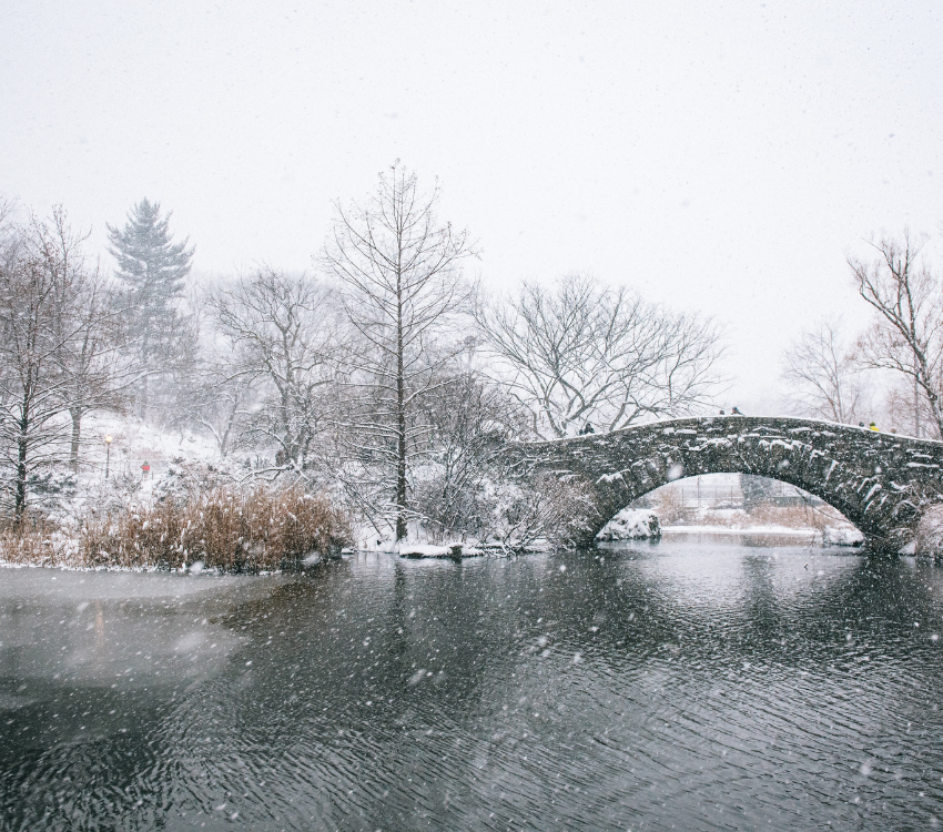 Central Park in NY