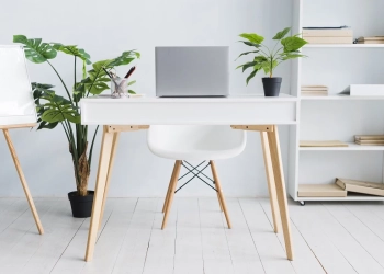 office-employee-workspace-with-laptop-table and plants