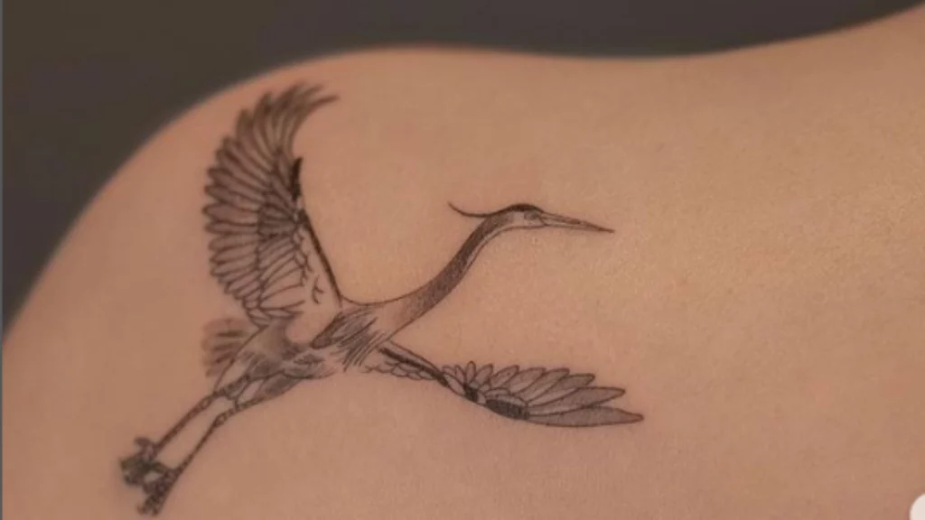 Bird tattoo on Shoulder