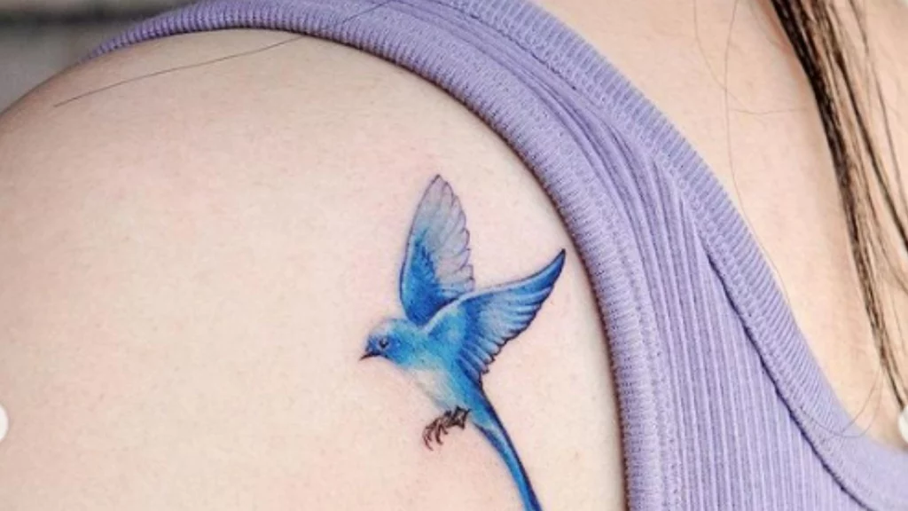 Blue bird tattoo on the shoulder