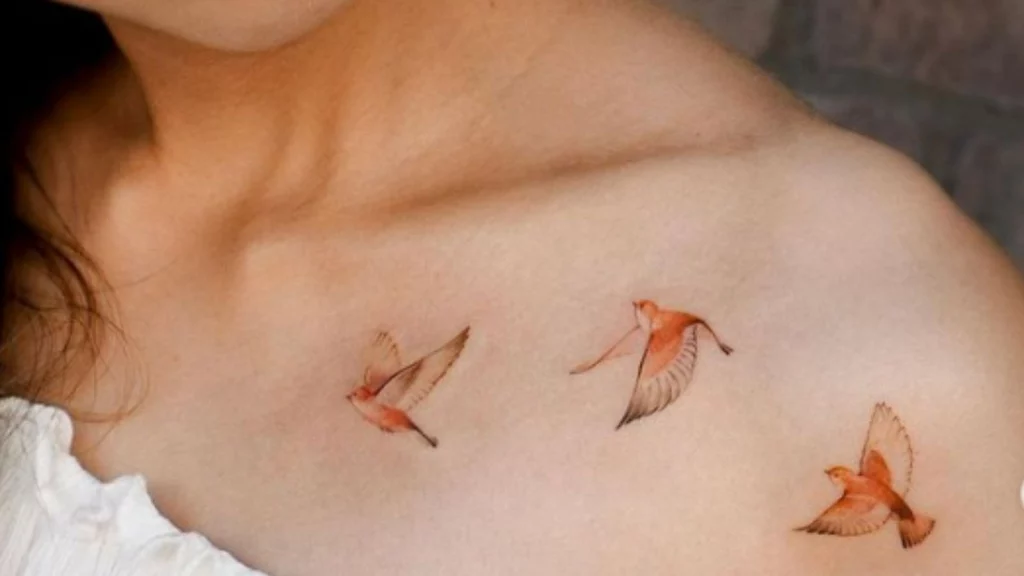 Orange colored birds on shoulder