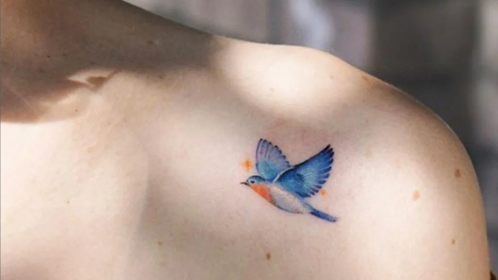 Blue bird on shoulder