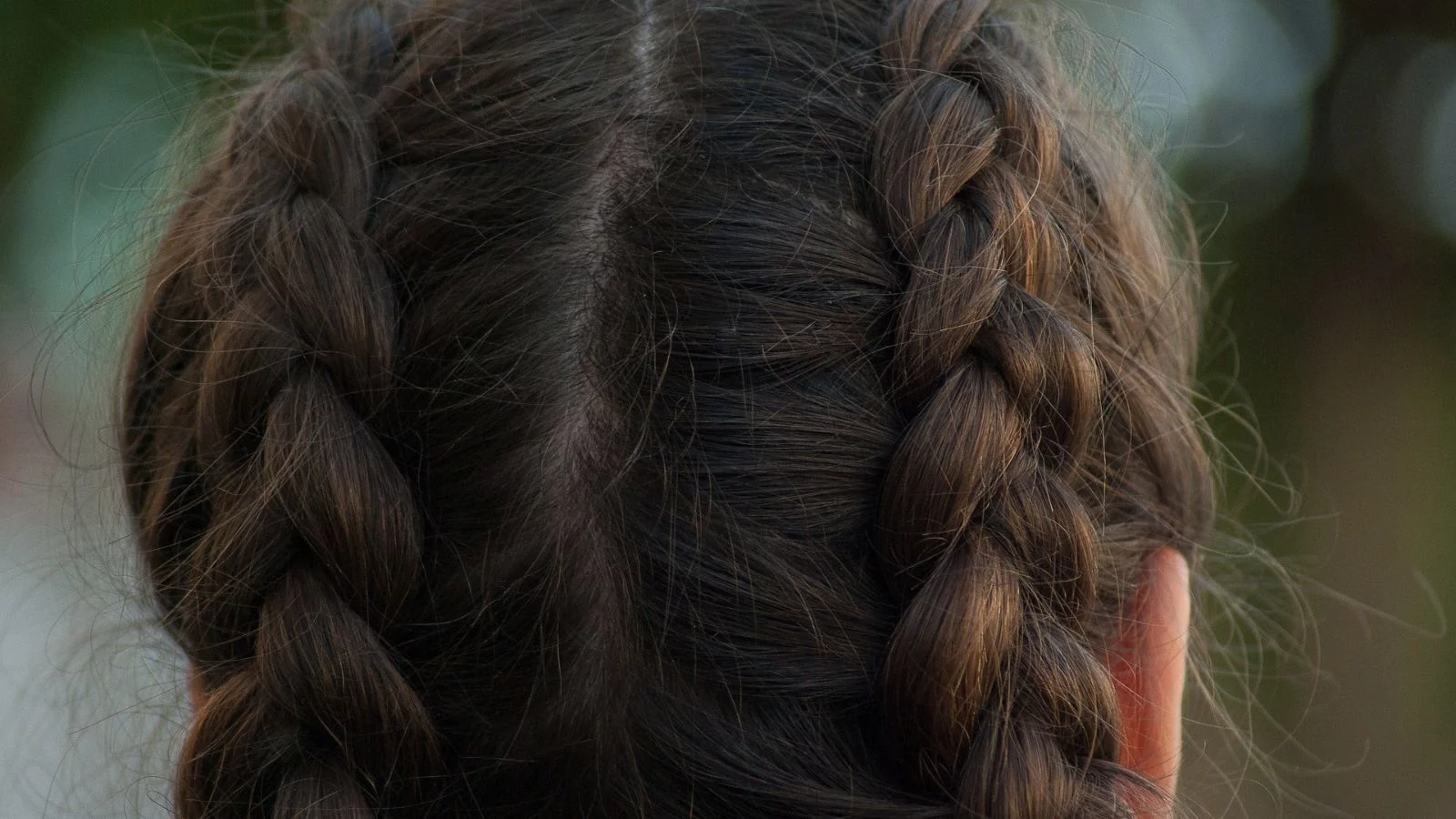 The back look of a double side french braids hairstyle. 
