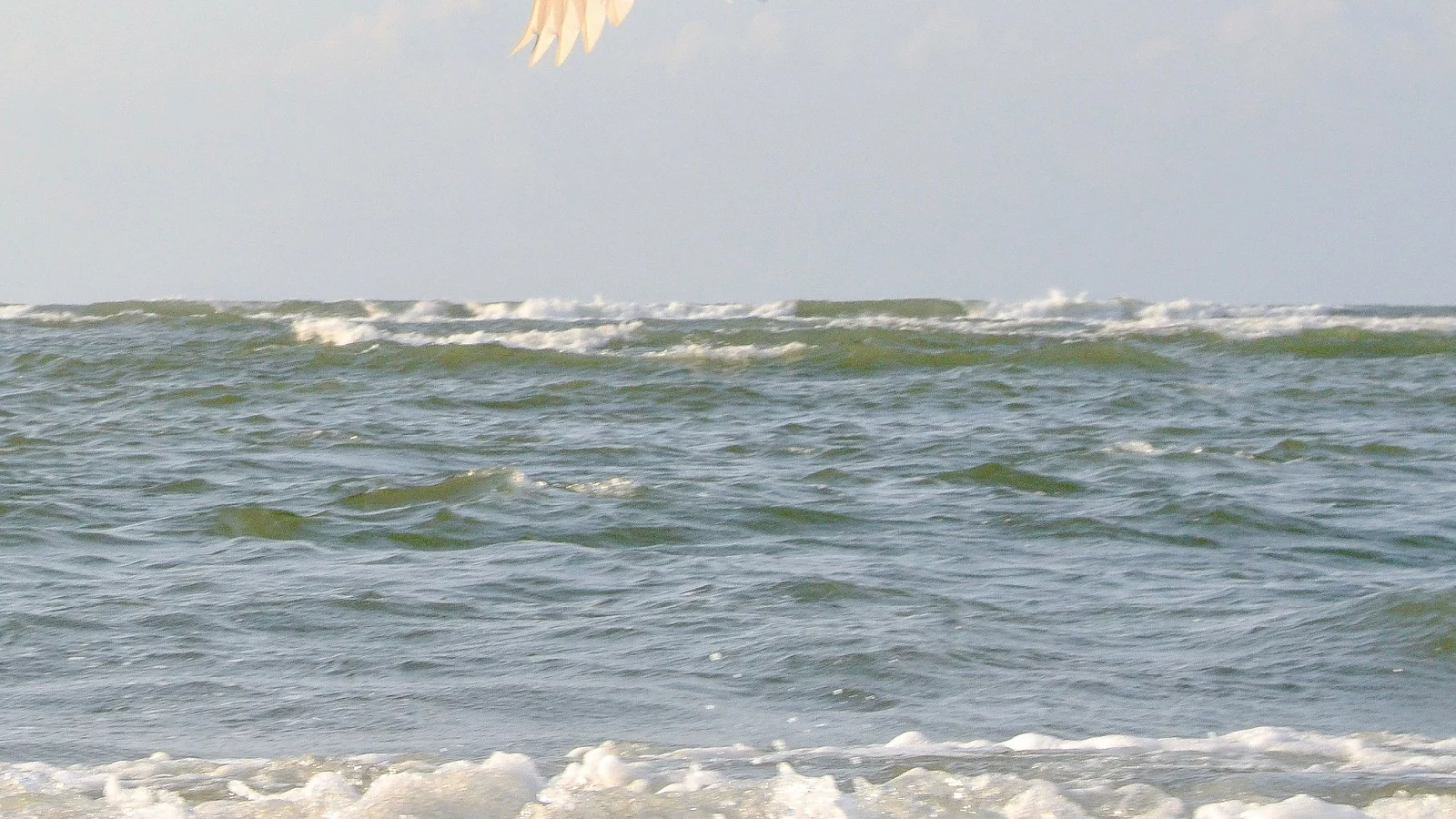 Blue waters of the Cherry Grove beach. 