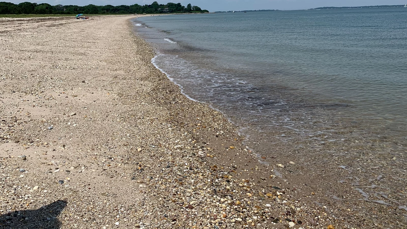 An image of the rocky Shelter Island beach. in New york city