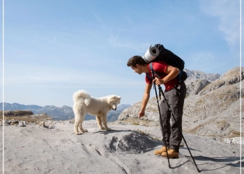 A man and a dog hiking on one of the dog-friendly hikes.