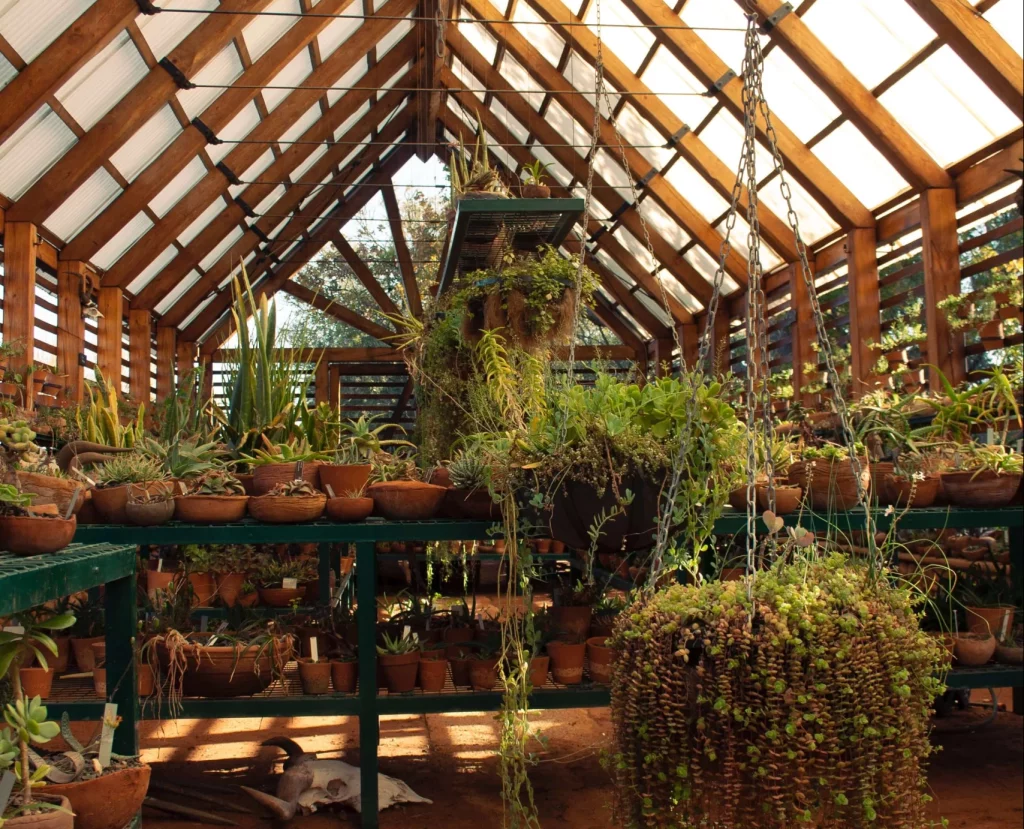 Plant nursery