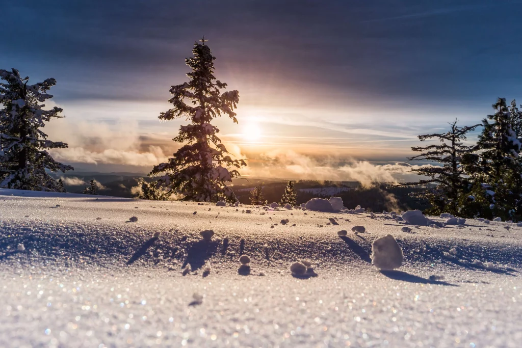 snow landscape