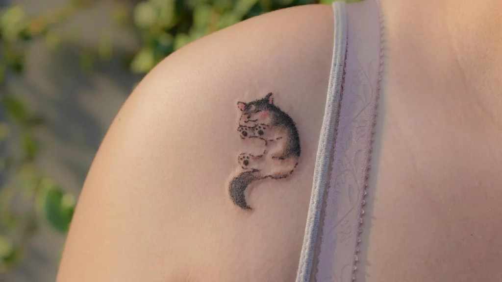 kitty images on shoulder