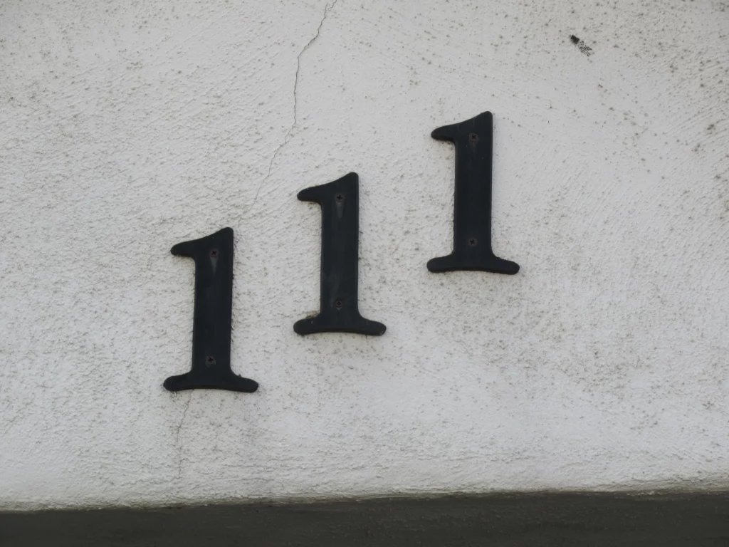 the number 111