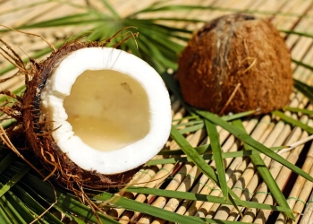 What Sets apart Coco Mama’s Coconut Milk, nutritionally?